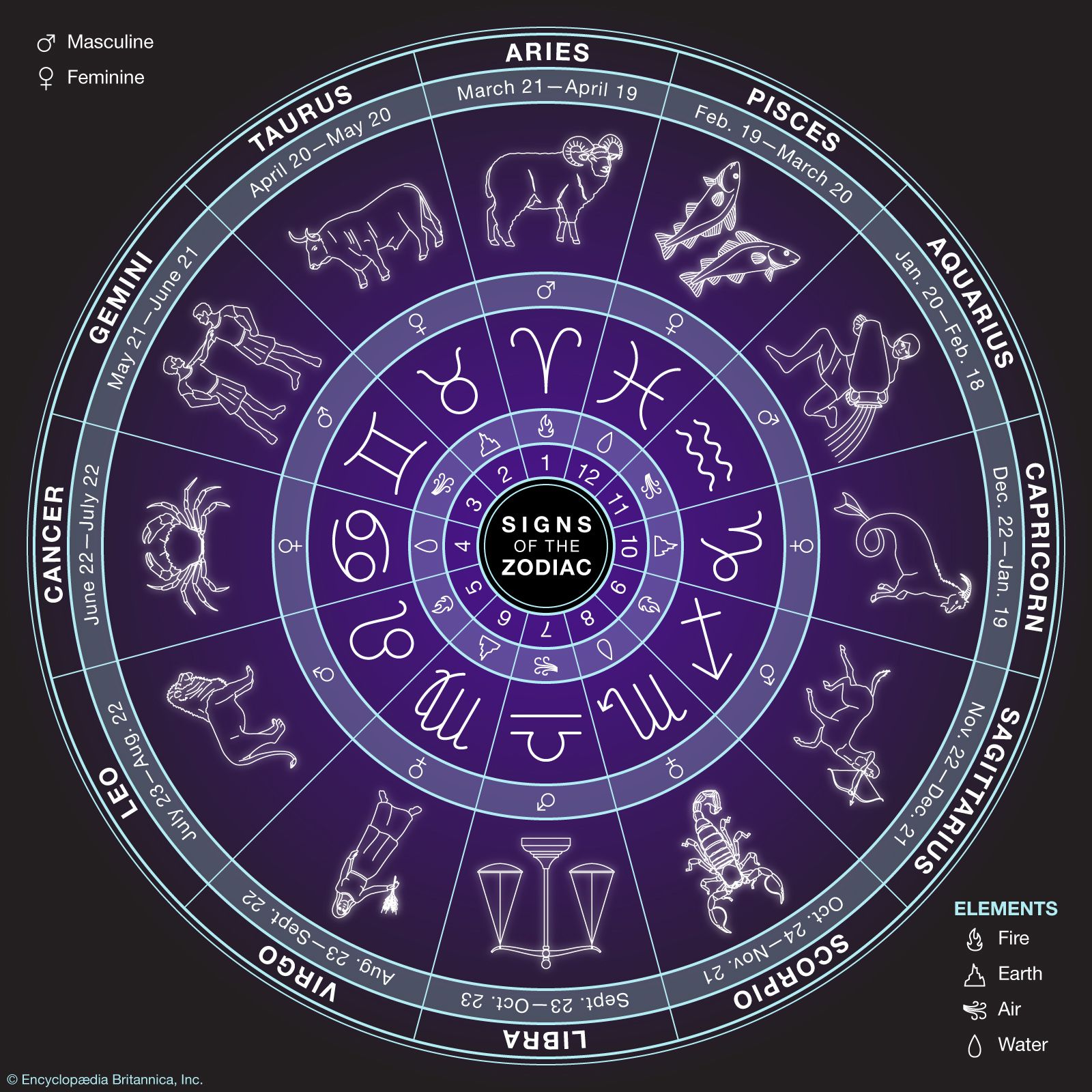 Unraveling Secrets Under the Zodiac Sky